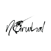 ناروال
